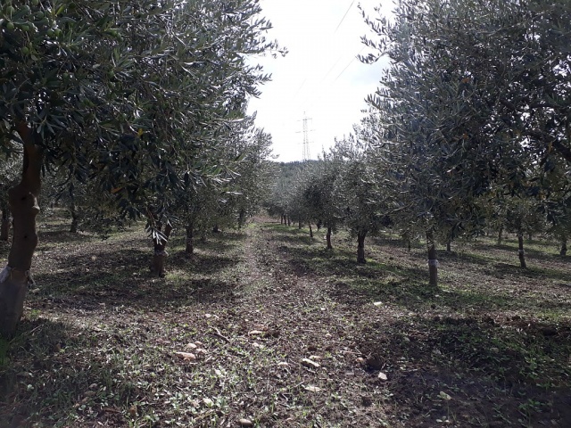 azienda1.jpg
