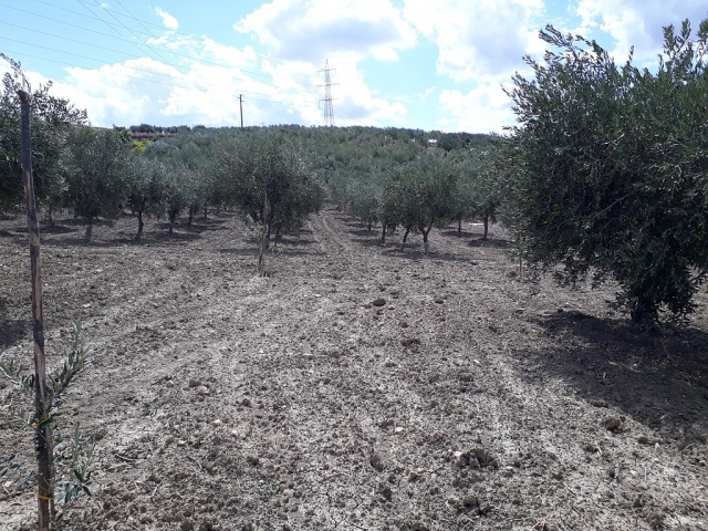 azienda6.jpg