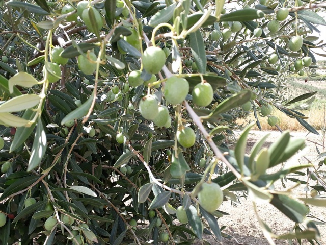 azienda14.jpg