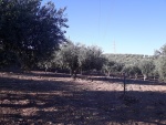 azienda.jpg