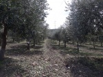 azienda1.jpg