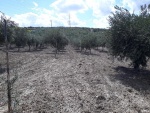 azienda6.jpg