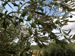 azienda7.jpg