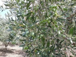 azienda8.jpg